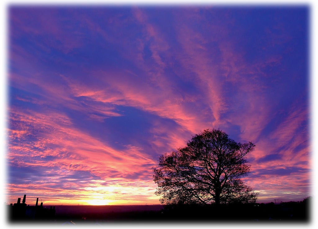 Homepage article image