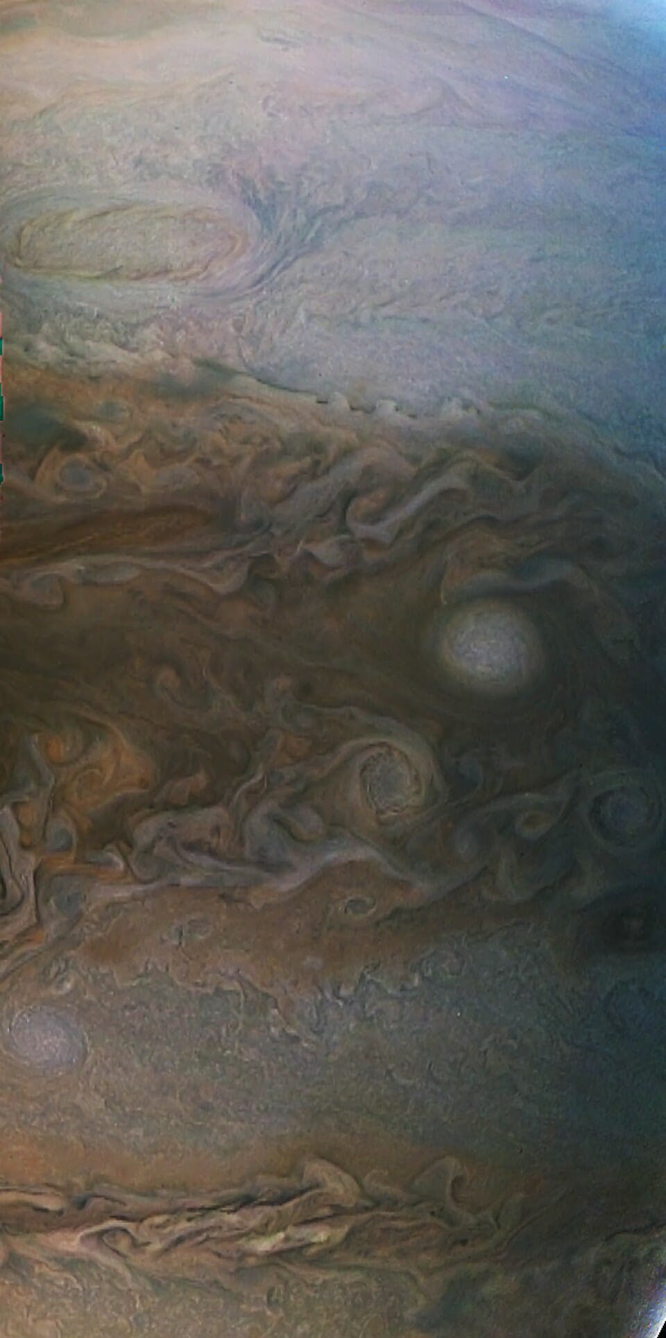 Juno Jupiter 5