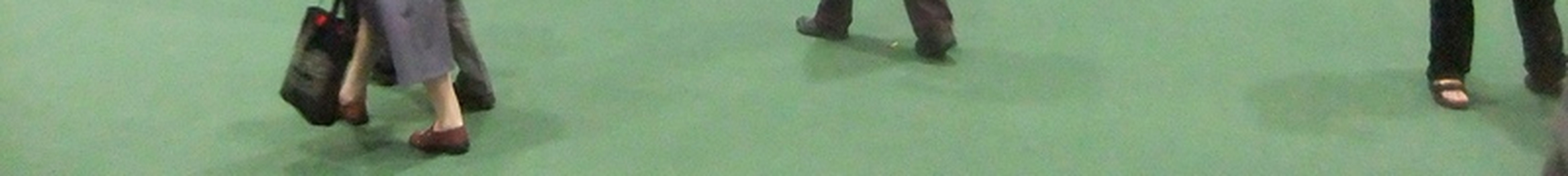 Homepage article image