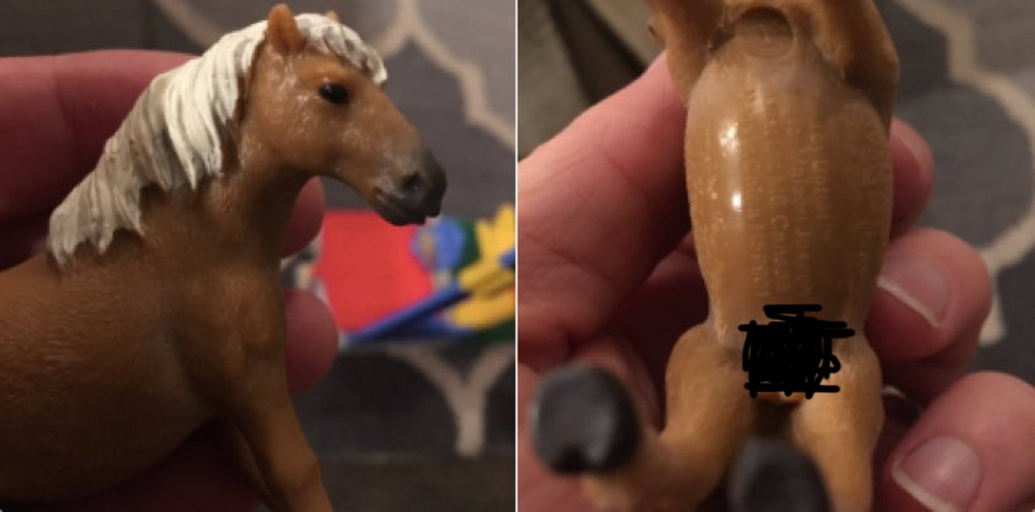 Pony Penis