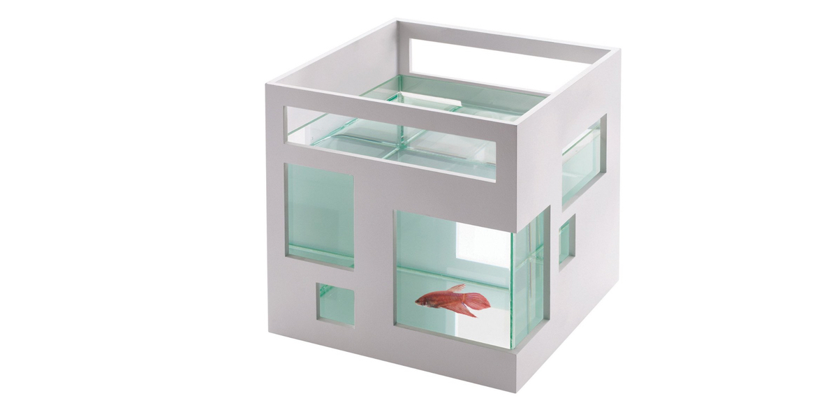 Amazon umbra deals fish hotel