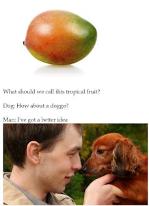 doggo and man name a mango