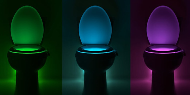 toilet light
