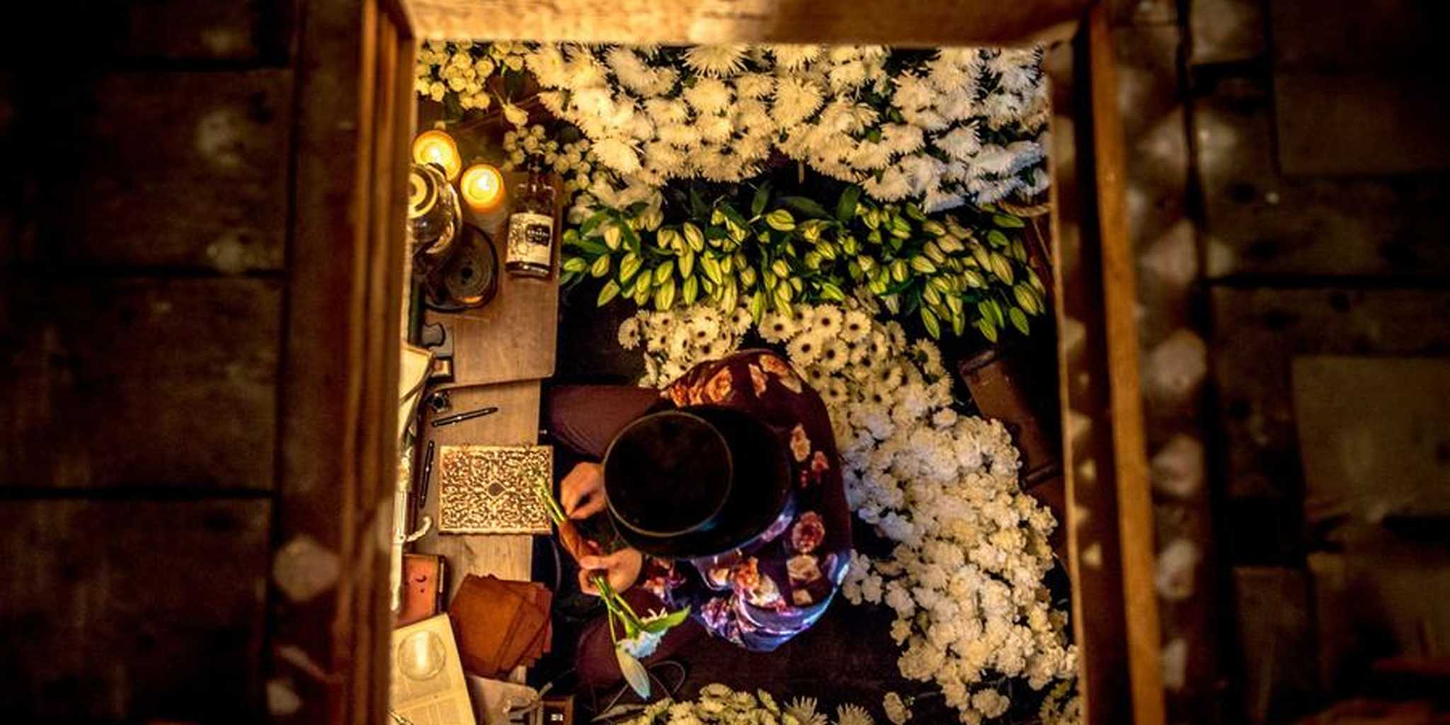 Homepage article image