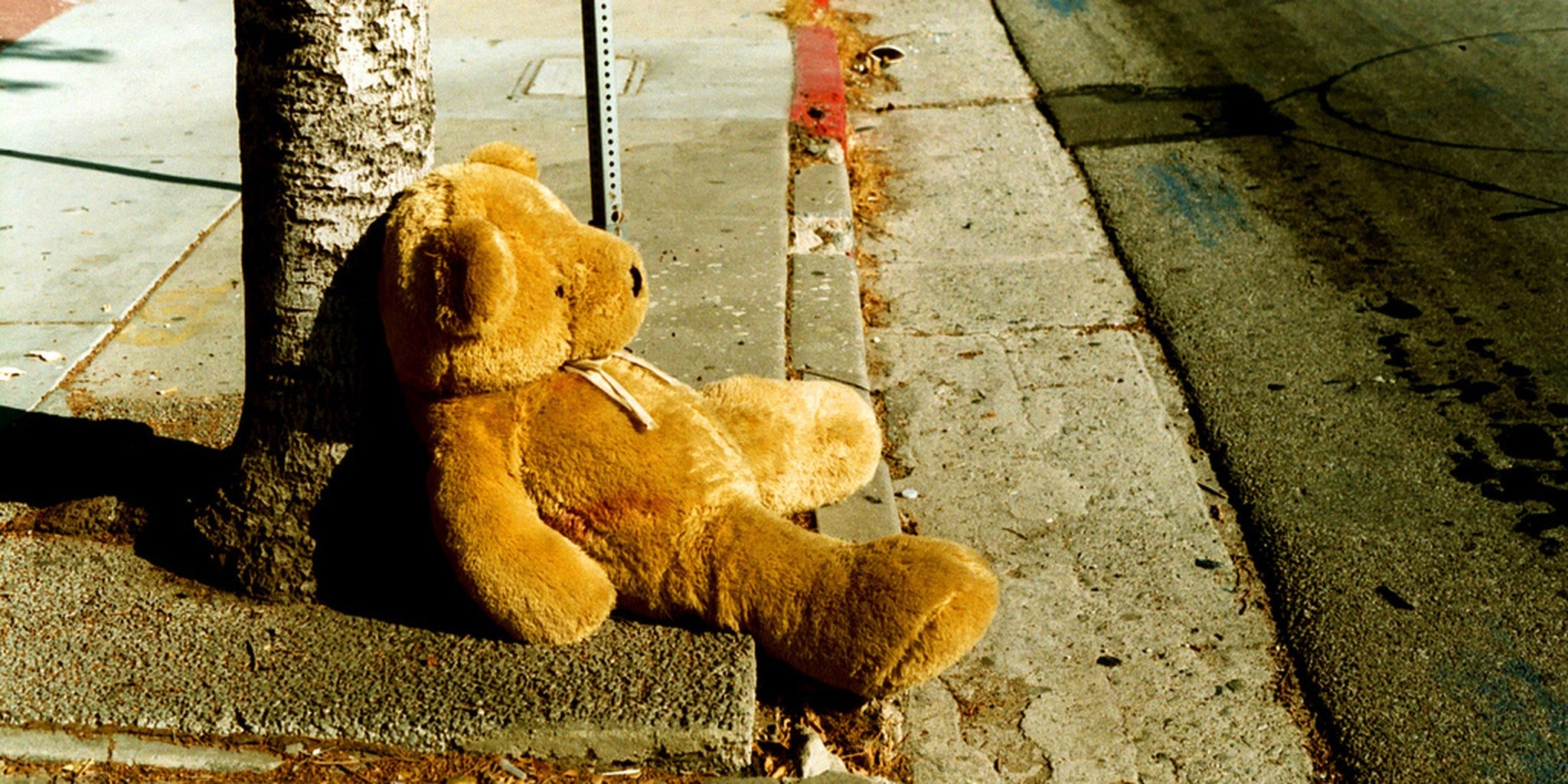 Homepage article image