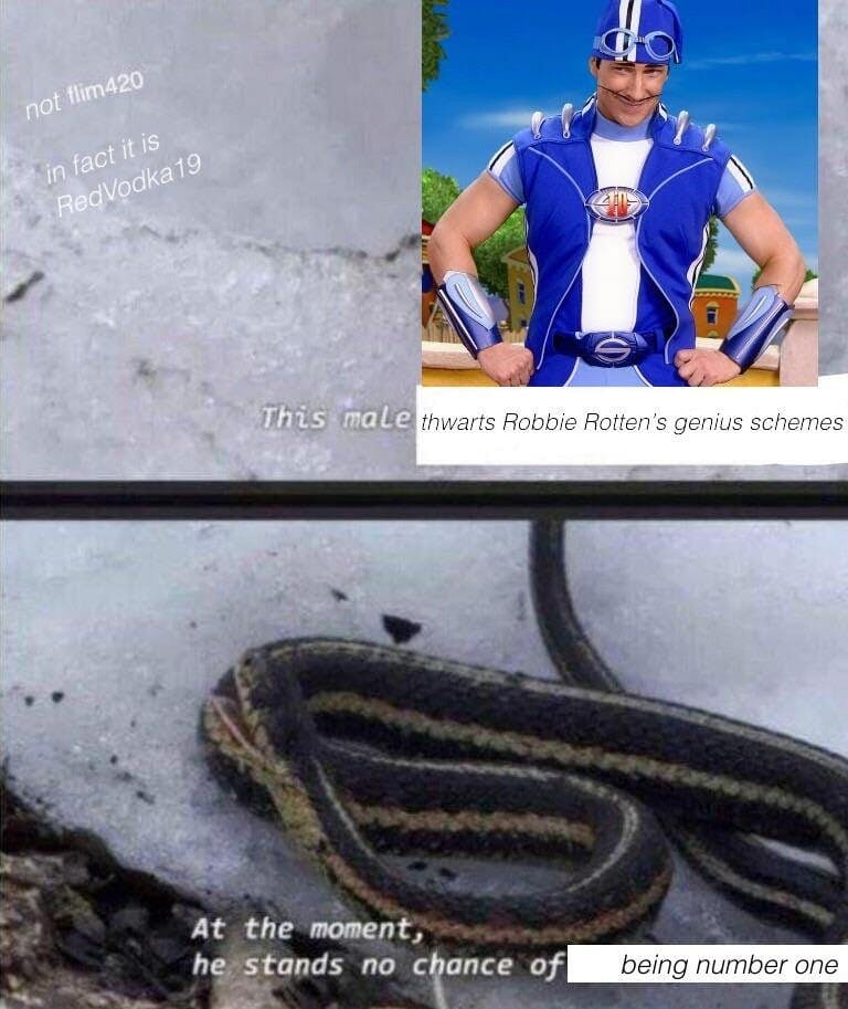 robbie rotten snake meme
