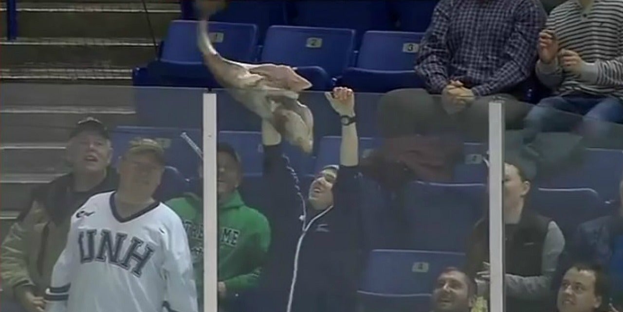 Hockey fan couldn't be worse at throwing a fish onto the ice The