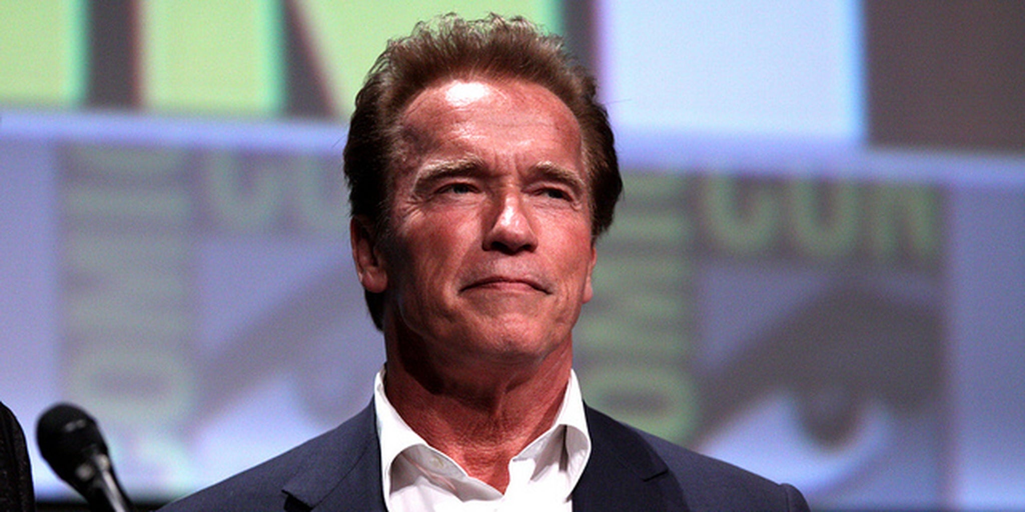 Homepage article image