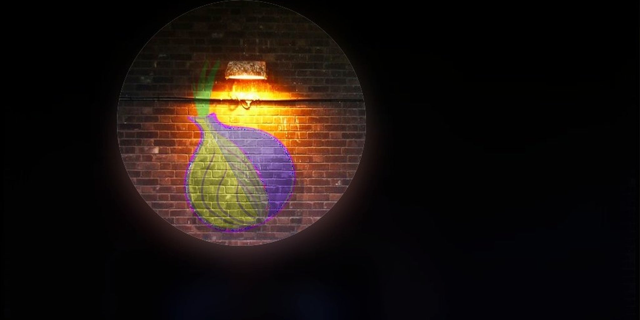 Homepage article image