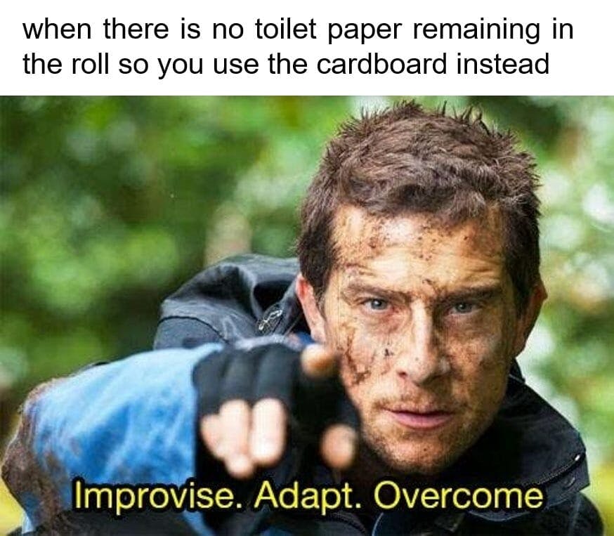 bear grylls adapt meme toilet paper