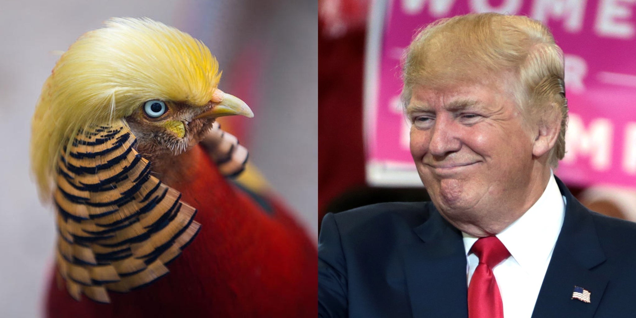 Homepage article image