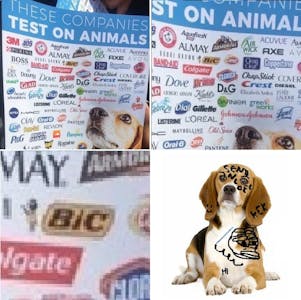 dog with bic pen animal testing meme