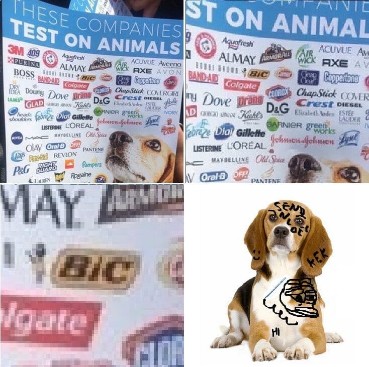 dog with bic pen animal testing meme