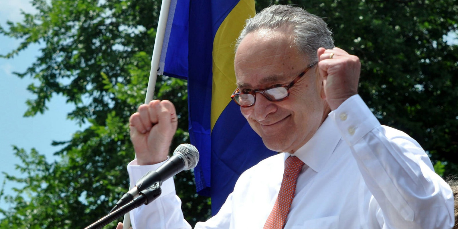 Chuck Schumer and Democrats are planning to campaign on everyday issues in 2018 and 2020.