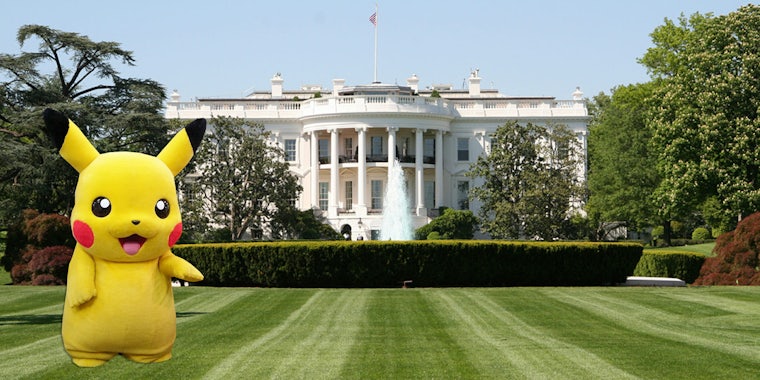 A man dressed in a Pikachu costume was arrested at the White House.