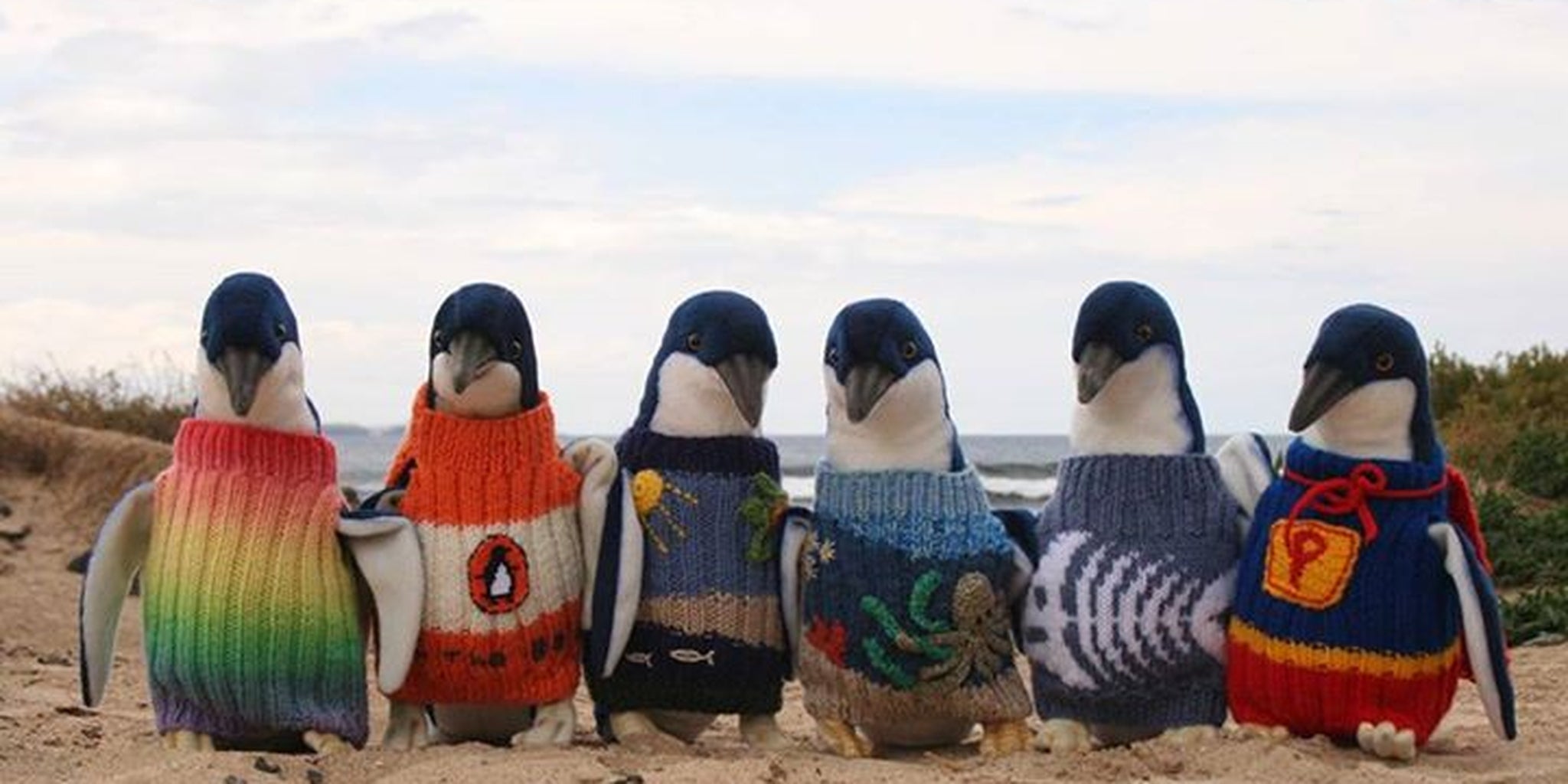 Homepage article image