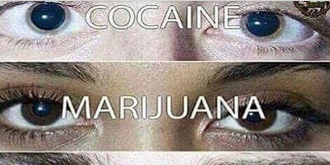 pupils on coke