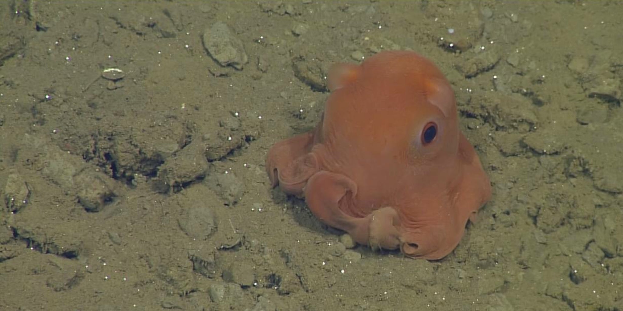 Homepage article image