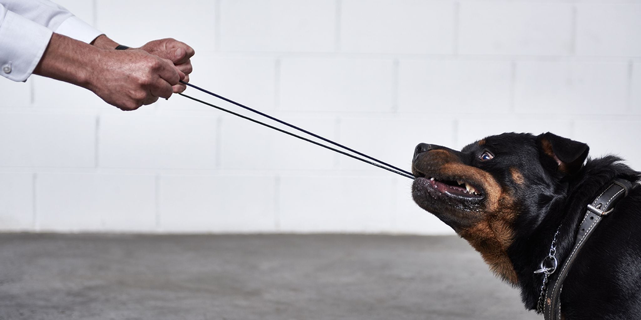 This Lightning cable is tough as a bulletproof vest The Daily Dot