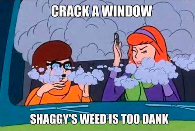 20 Funny Weed Memes For Stoners | Daily Dot