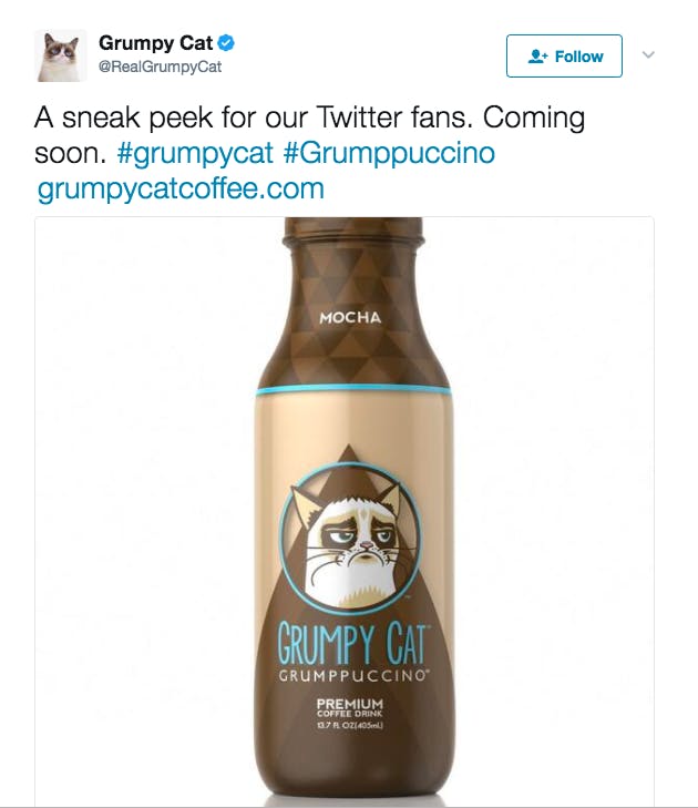 grumpy cat coffee