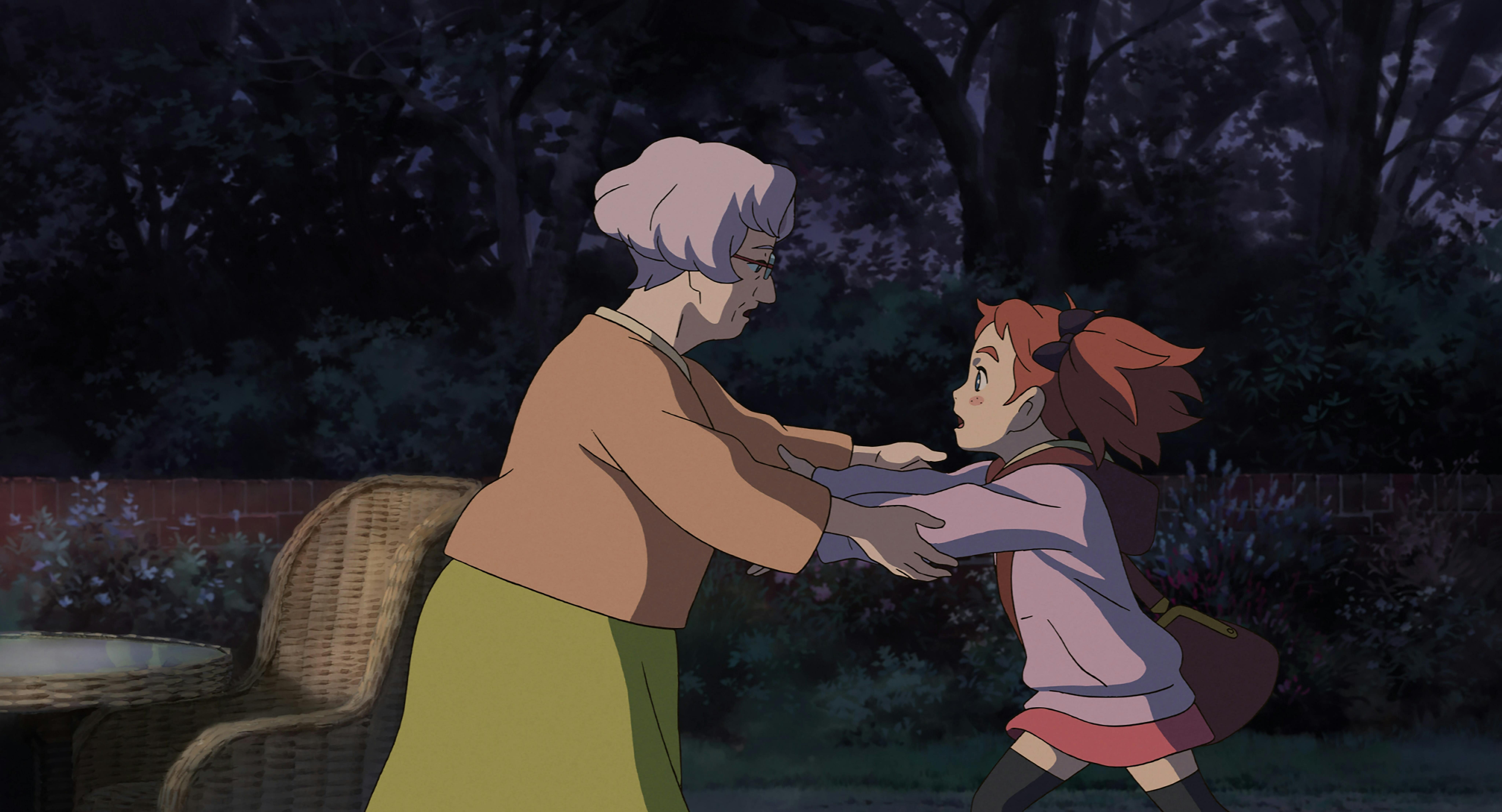mary and the witch's flower