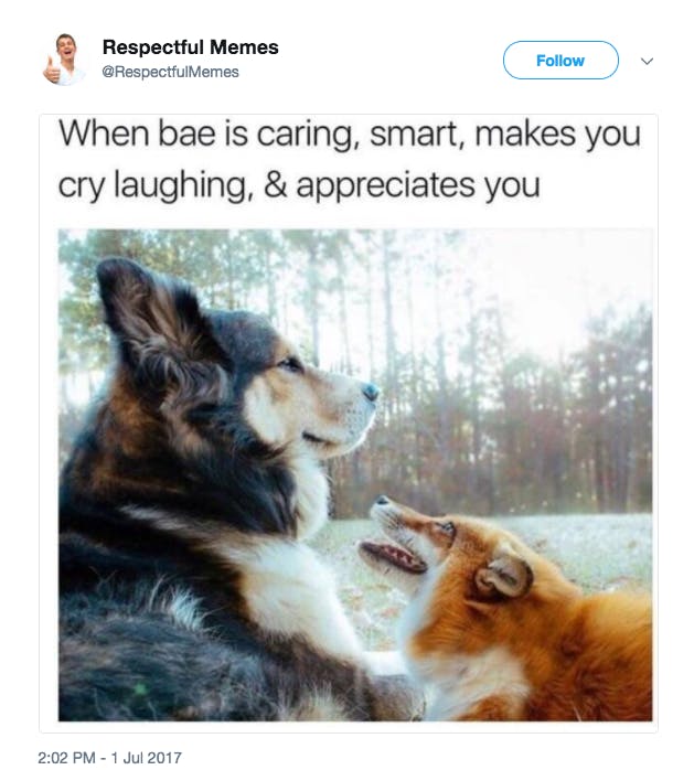 wholesome memes