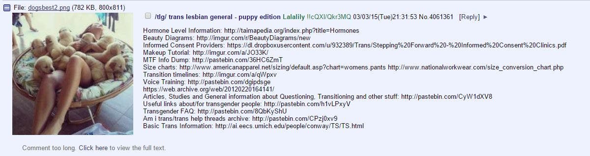 "trans lesbian general—puppy edition"