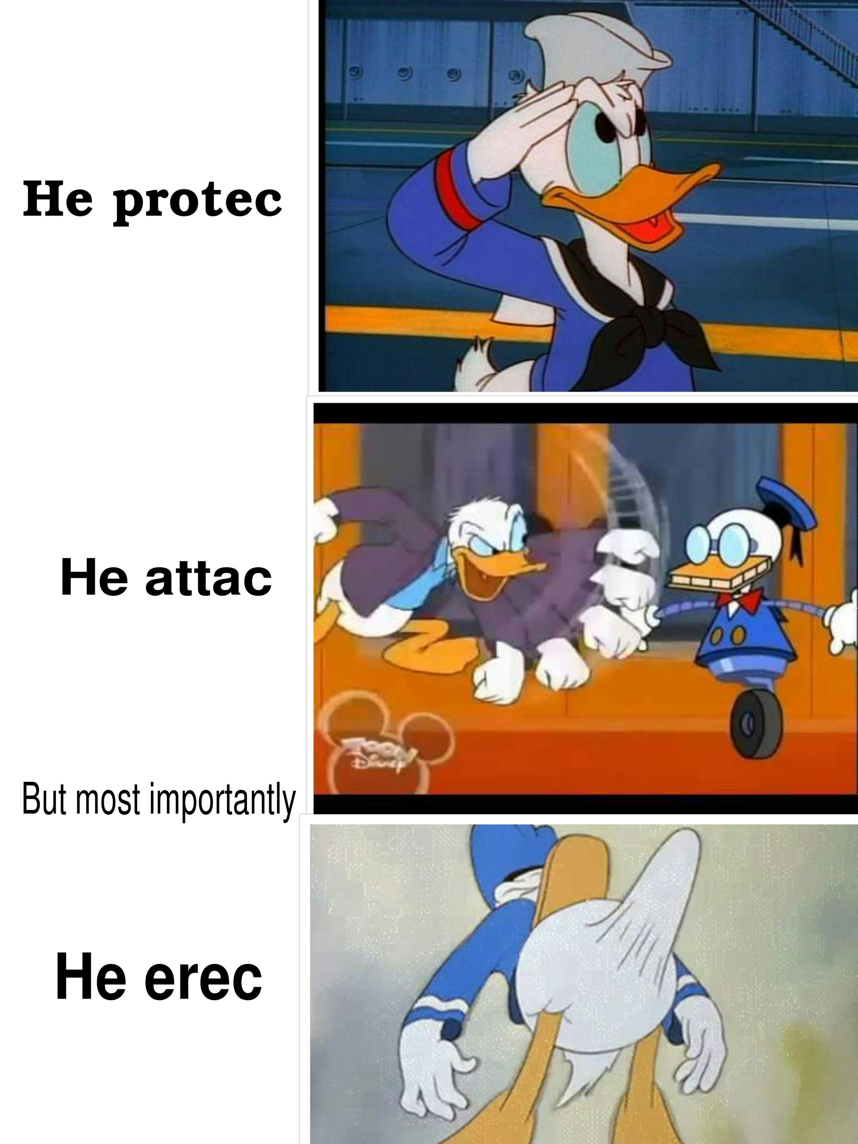 donald duck protec attac meme