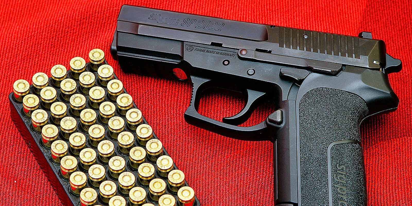 florida concealed carry permit fbi background check