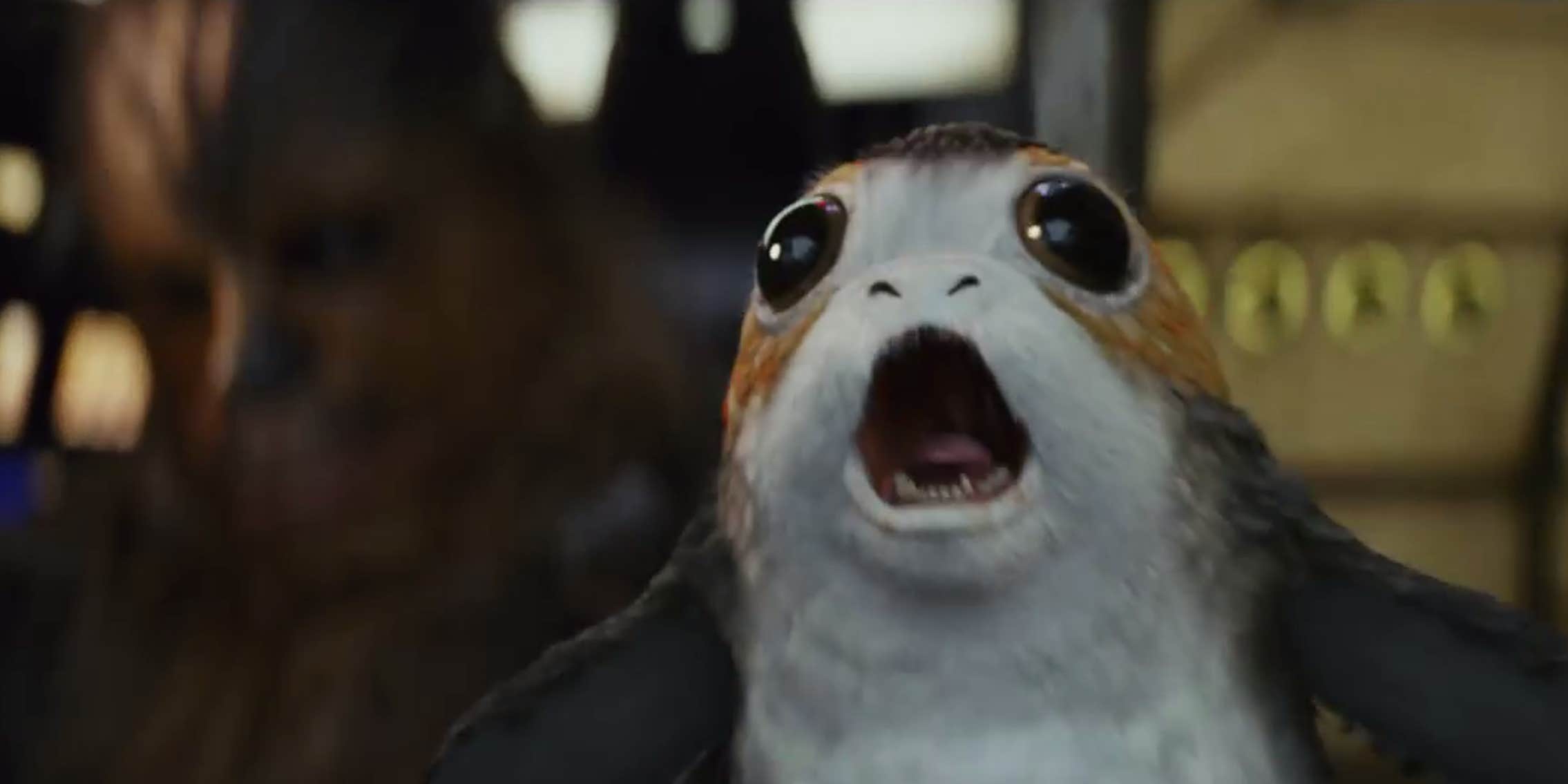 Porg Images Meet Porgs, the Cute New 'Star Wars' Creatures in 'The Last Jedi'