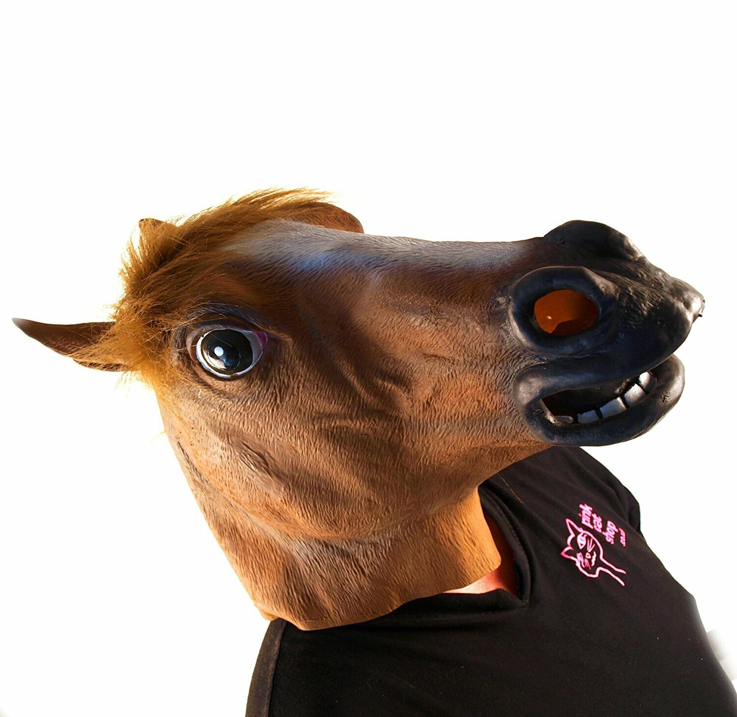 bojack horseman
