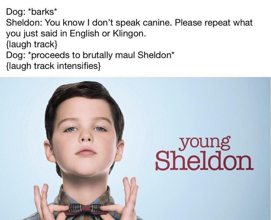 young sheldon meme dog attack