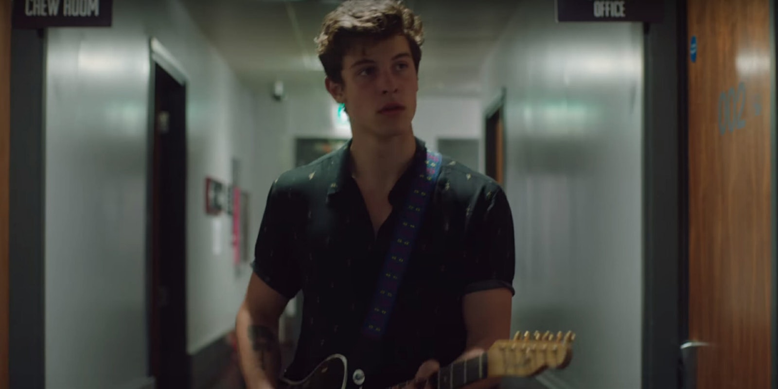 shawn mendes in my blood
