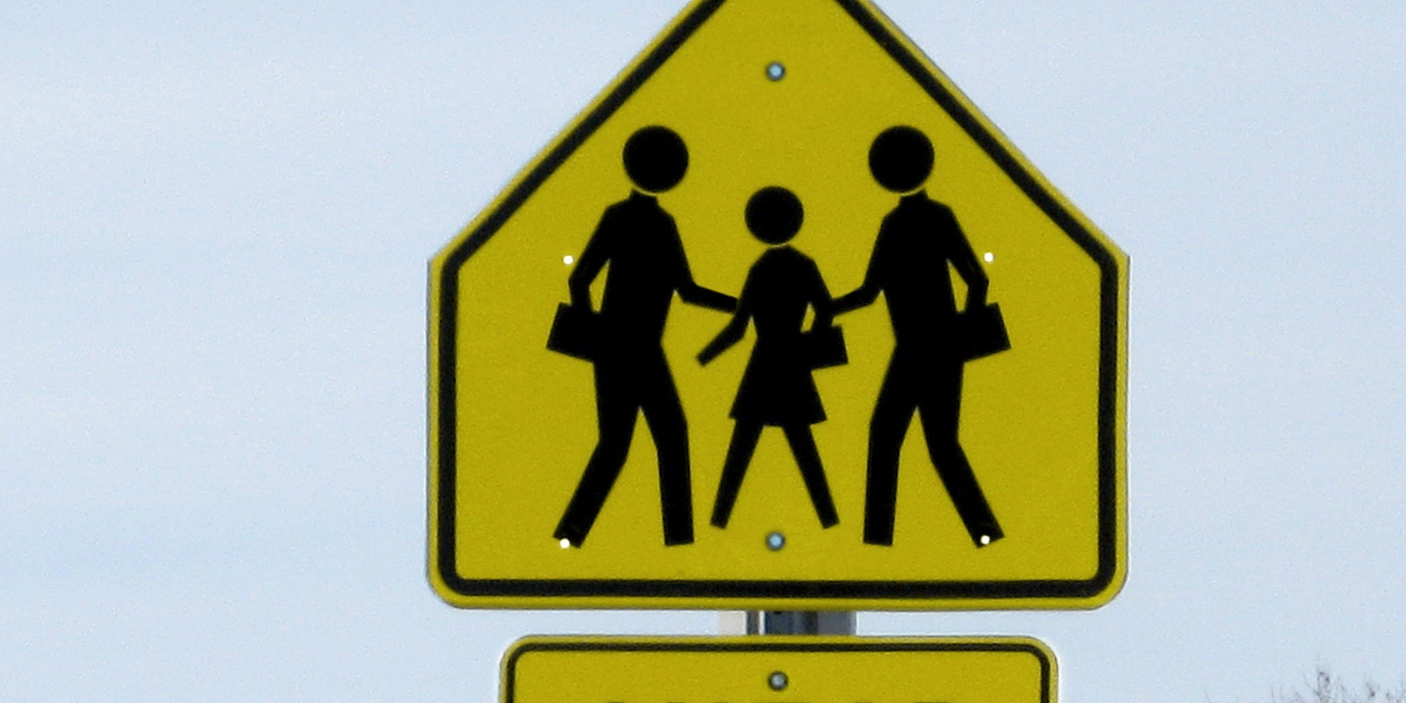 Homepage article image