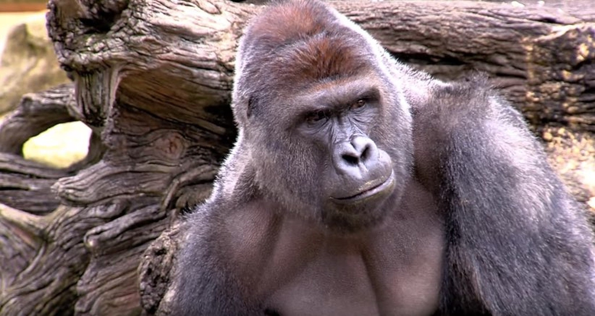 Homepage article image