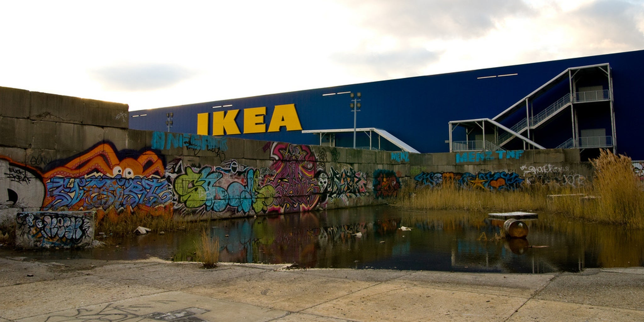 Homepage article image