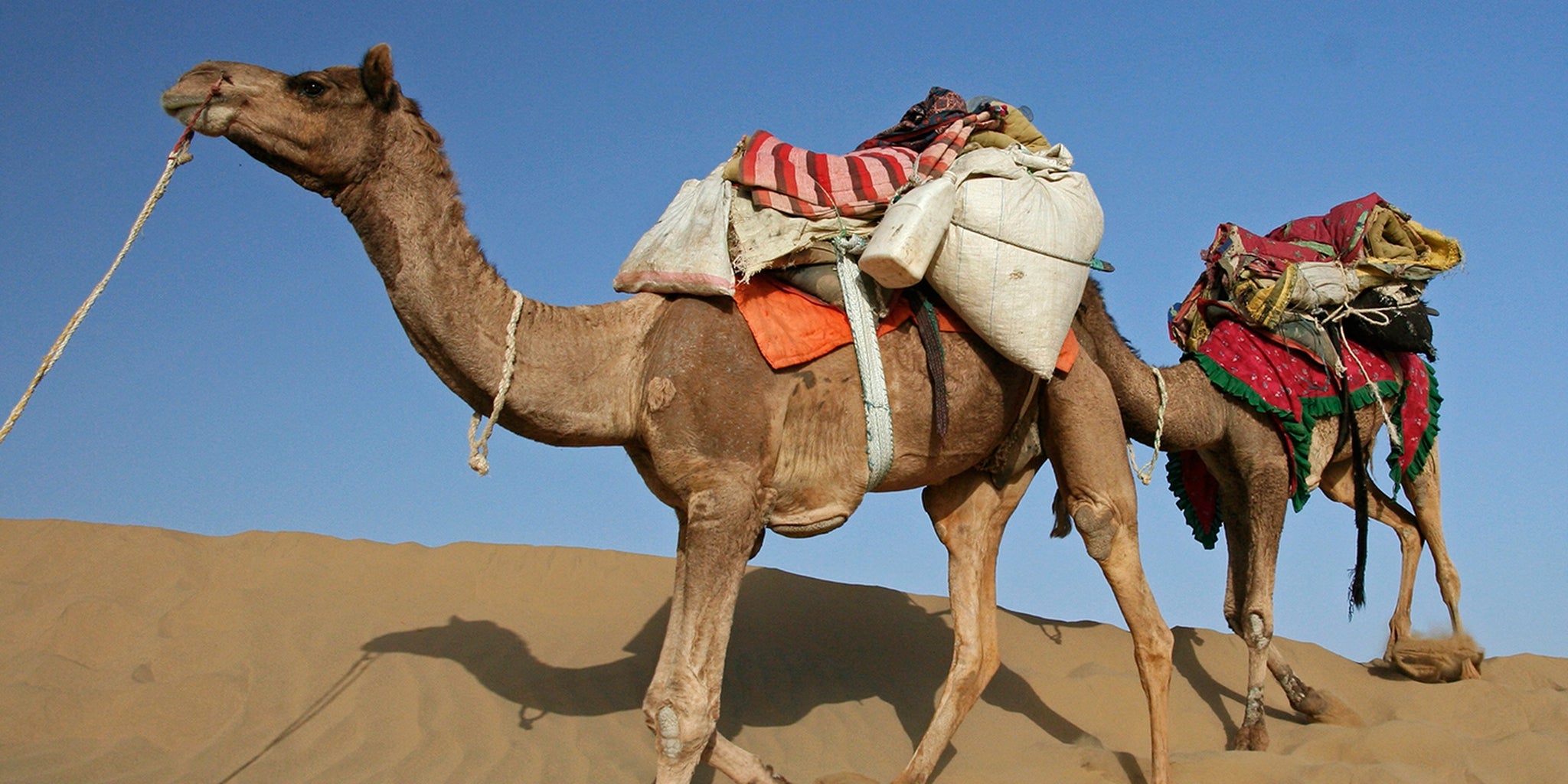 Feds Want To Prove Just How Much Damage Silk Road Caused