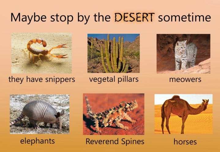 visit the desert