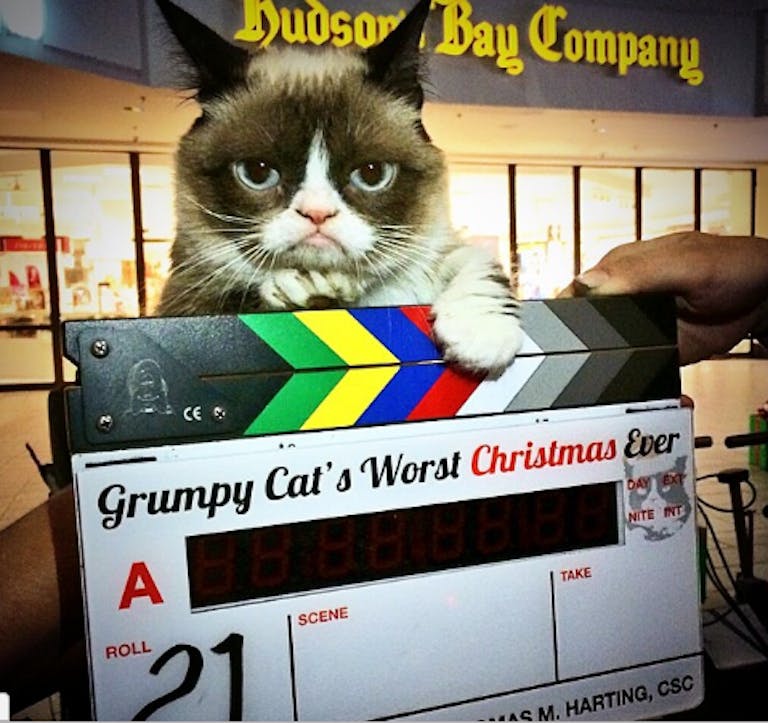 grumpy cat christmas movie