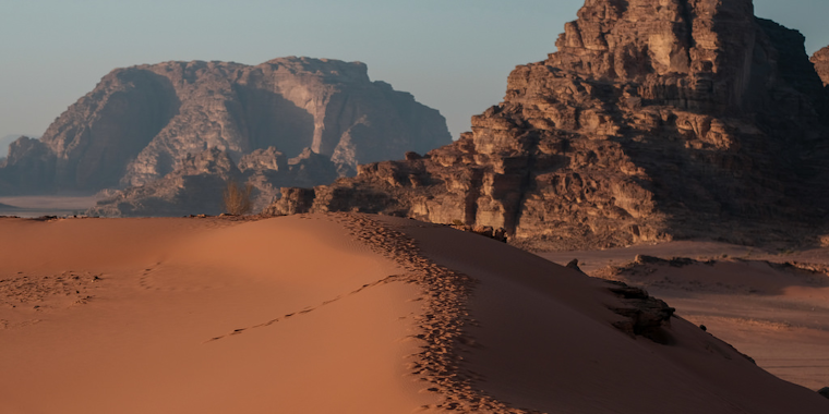 Wadi Rum Desert, tracks on a sand dune