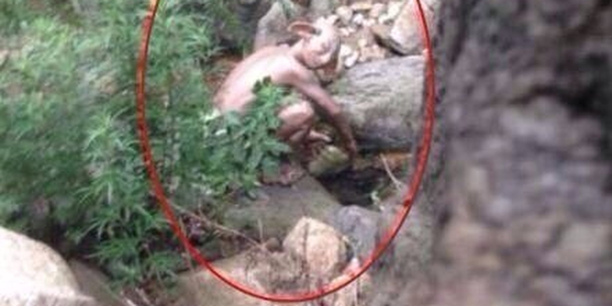 Homepage article image