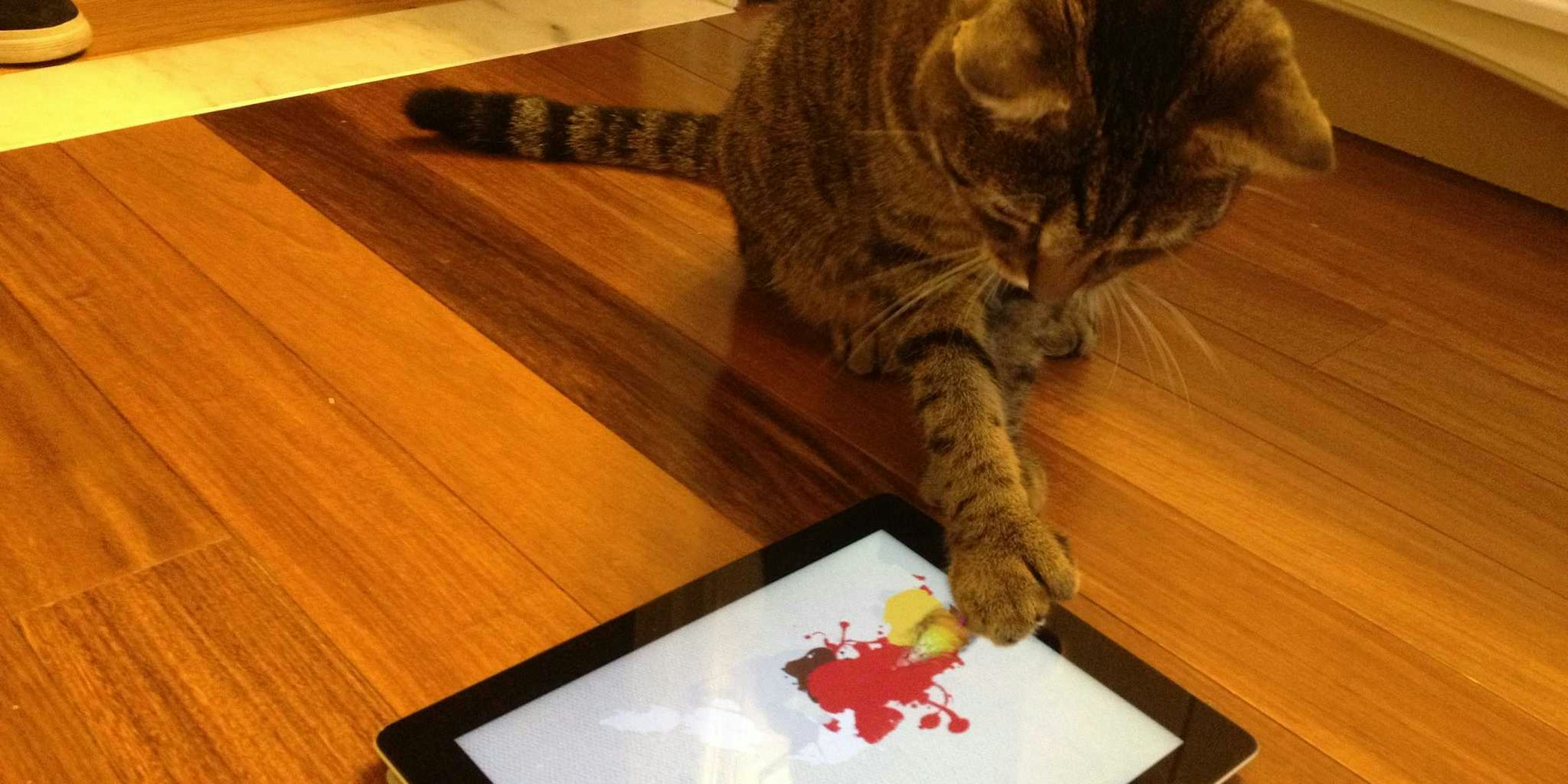 Why your cat needs an iPad