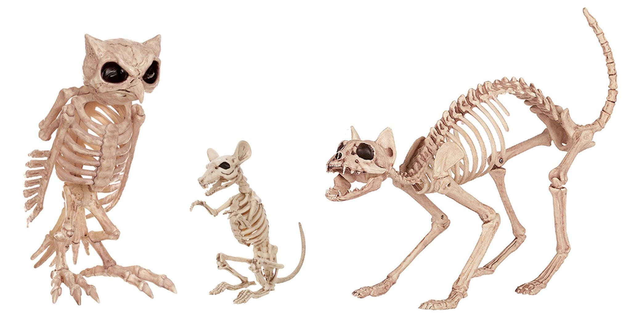 These life-size animal skeletons are dying to be your Halloween decor