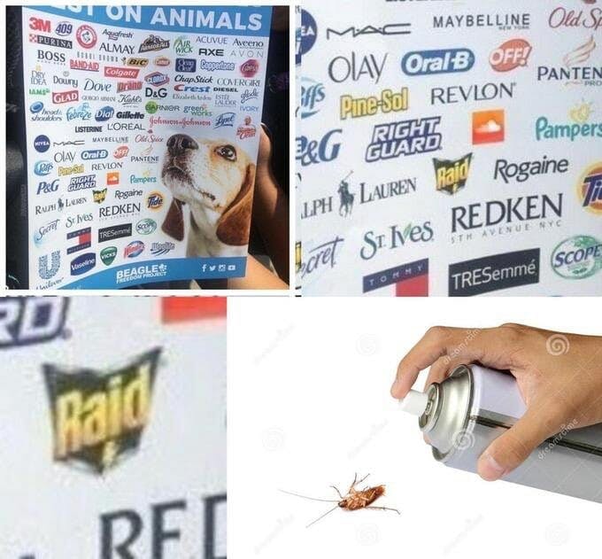 raid bug spray animal testing meme