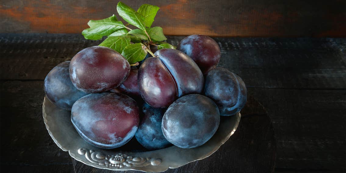 William Carlos Williams' 'Plums' Poem Is a Hilarious New Meme