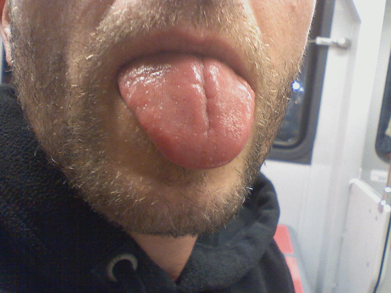 Homepage article image