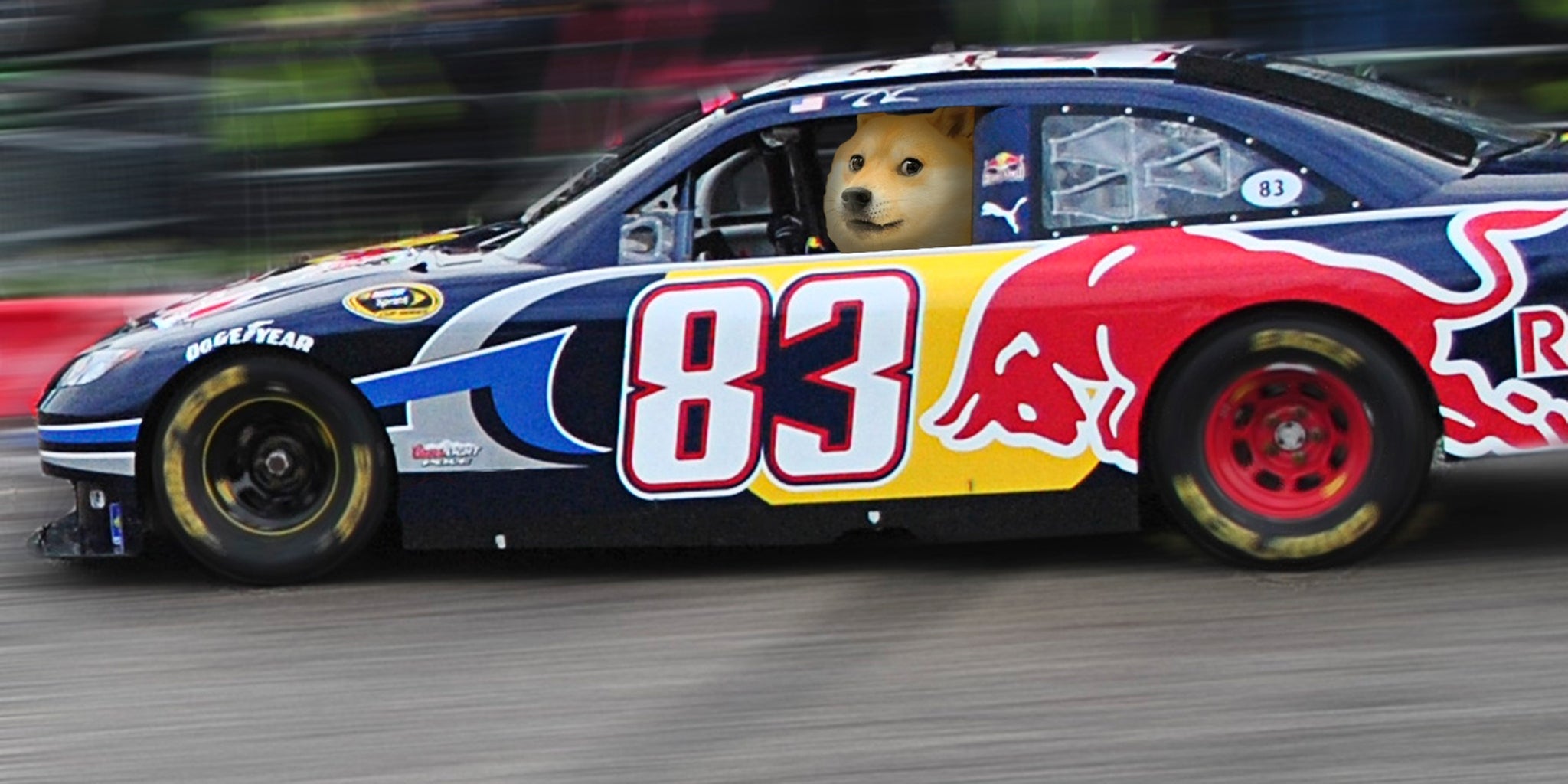 dogecoin leading daytona 500