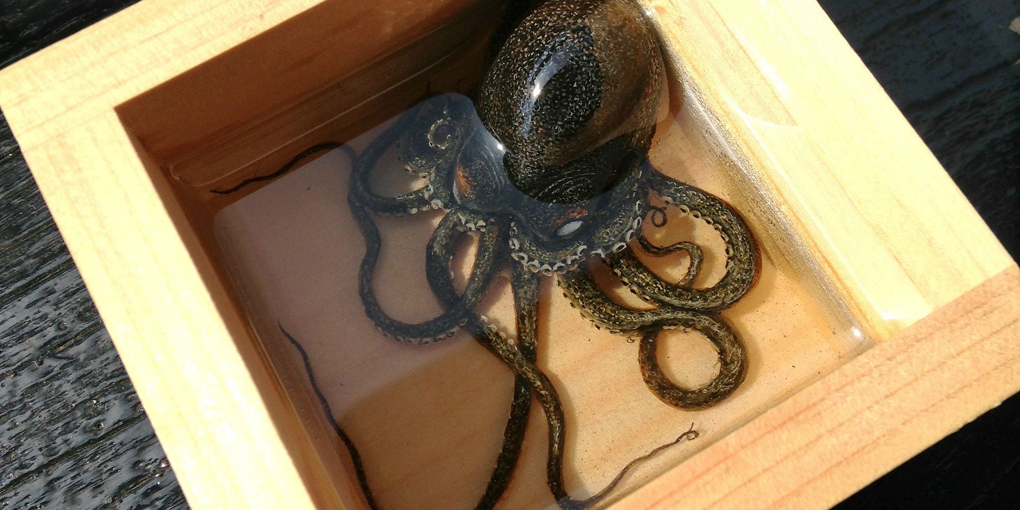 Homepage article image