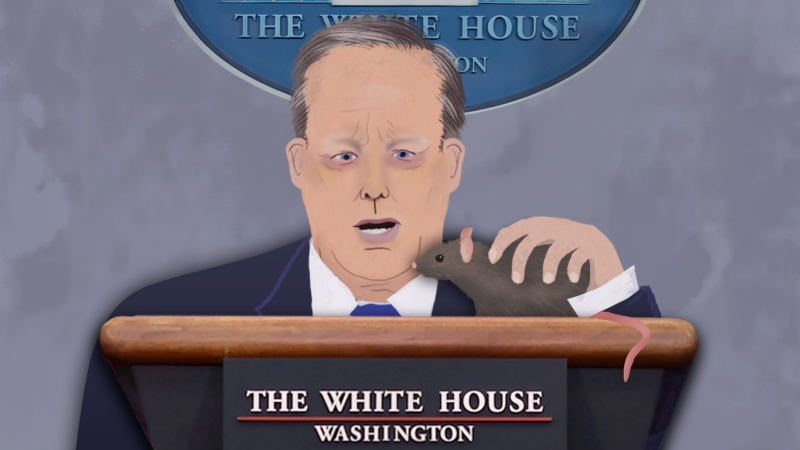 spicer rat